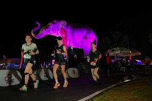 BIB: 
                            <button type="button" onclick="openModal(26543983)" class="btn btn-primary btn-sm float-right btn-popup" data-toggle="modal" data-target=".modal-high-quality">
                        <i class="fas fa-shopping-cart"></i> Add to Cart
                    </button>
                                            <button type="button" onclick="isThisMe(26543983, true)" class="btn btn-success btn-sm float-right btn-popup btn-isme hidden" data-toggle="tooltip" data-placement="bottom" title="นี่คือรูปของคุณใช่ไหม คลิกที่นี่เพื่อเอาเข้าอัลบั้ม">
                        <i class="fas fa-plus"></i> Add to album
                    </button>
                    <button type="button" onclick="isThisMe(26543983, false)" class="btn btn-warning btn-sm float-right btn-popup btn-isnotme hidden">
                        <i class="fas fa-ban"></i> Remove from album
                    </button>